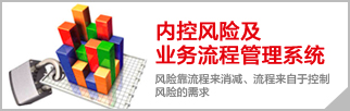 内控风险及业务流程管理系统